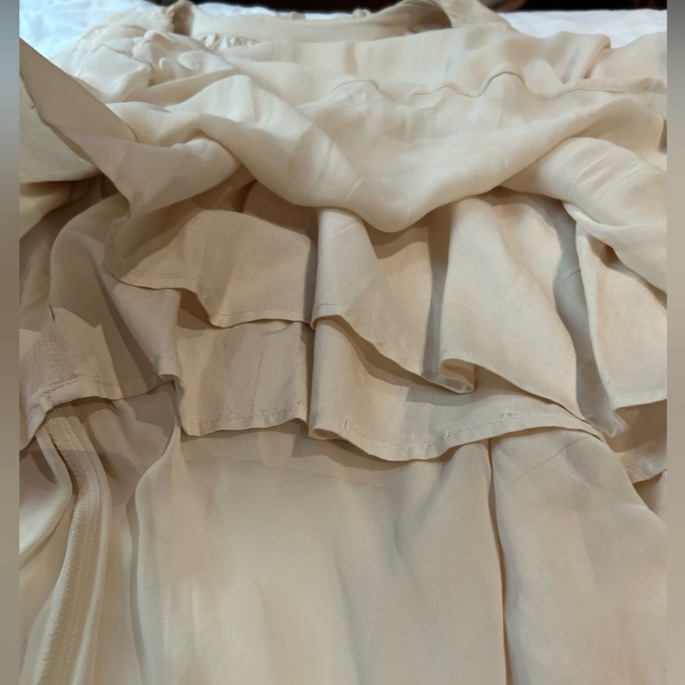 NWT ANTHROPOLOGIE Long Sleeve Sheer Pleated Maxi Dress Neutral XS-M - Picture 14 of 16